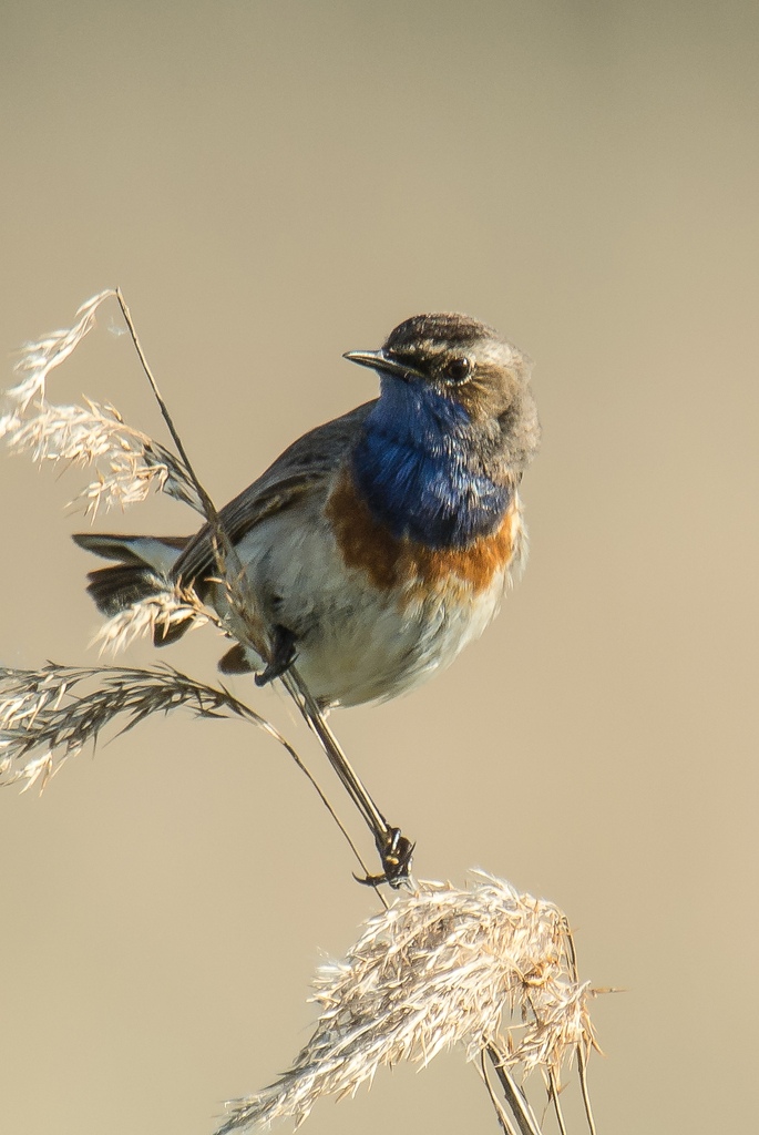 20120526 8444 [NIKON 1 V1] 850 mm,1 320 Sek. bei ƒ   6,3 Bearbeitet 2