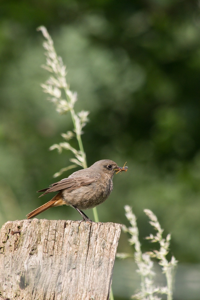 20120608 0775 [E M5] 300 mm,1 250 Sek. bei ƒ   8,0 2