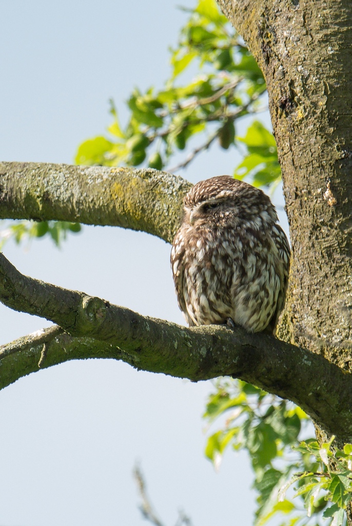 20120608 9337 [NIKON 1 V1] 600 mm,1 250 Sek. bei ƒ   8,0