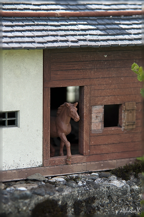 20120611 1351522 1 comp