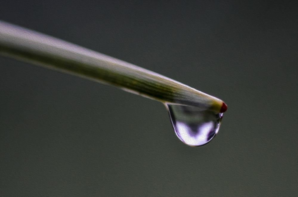 20120612 038 2