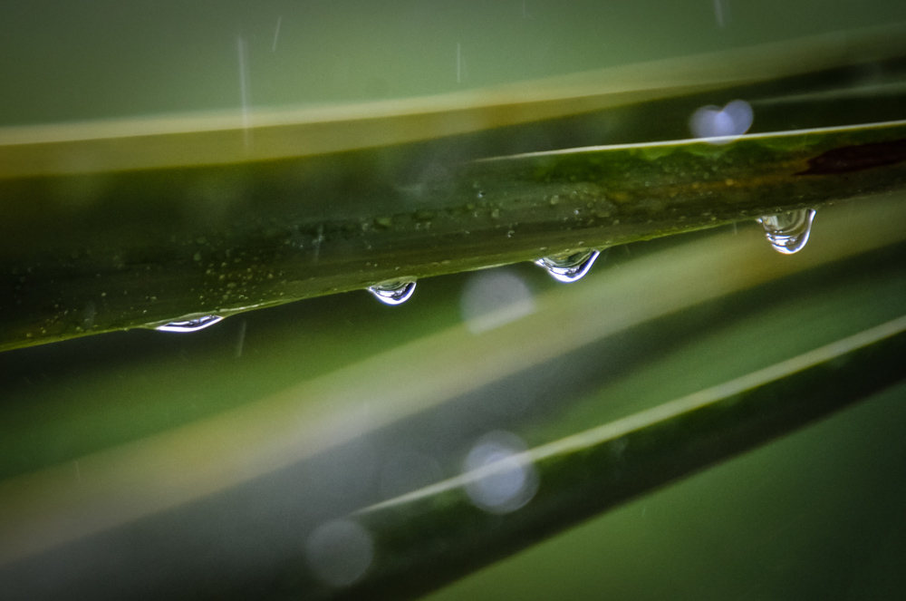 20120612 072 Kopie