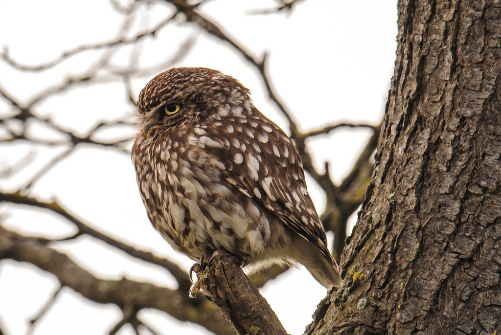 20120615 9541 [NIKON 1 V1] 600 mm,1 50 Sek. bei ƒ   6,3 2