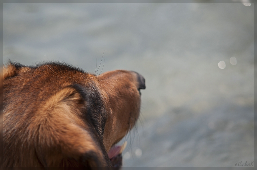 20120630 1661666 1 comp