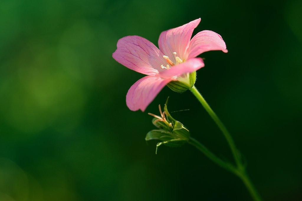 20120705 110932