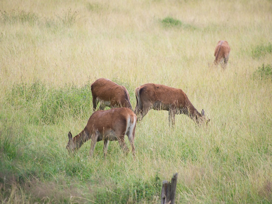 20120715 1857 [E M5] 300 mm,1 125 Sek. bei ƒ   6,3