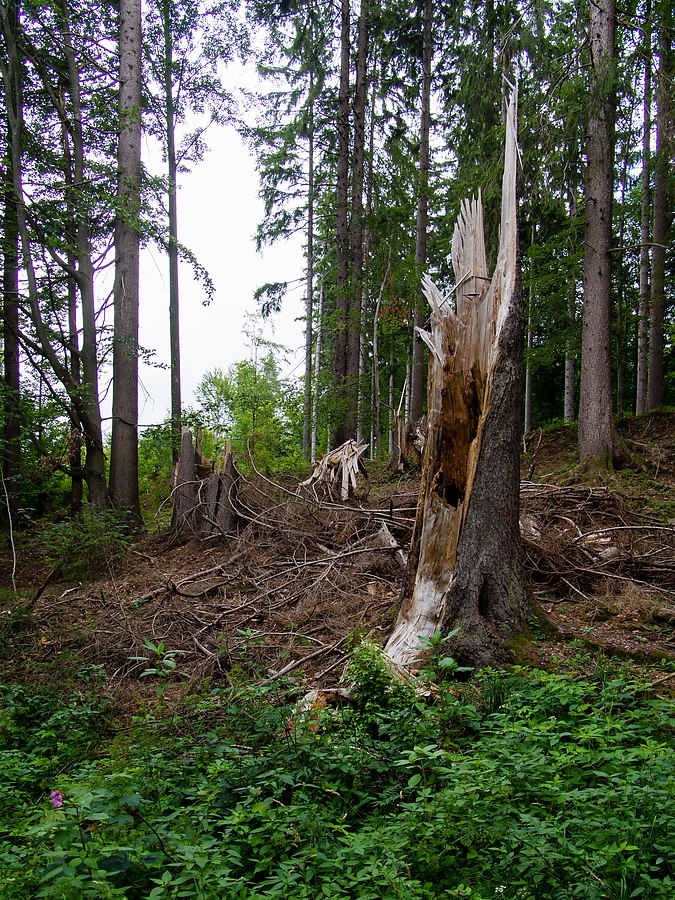 20120715 1872 [E M5] 14 mm,1 80 Sek. bei ƒ   6,3