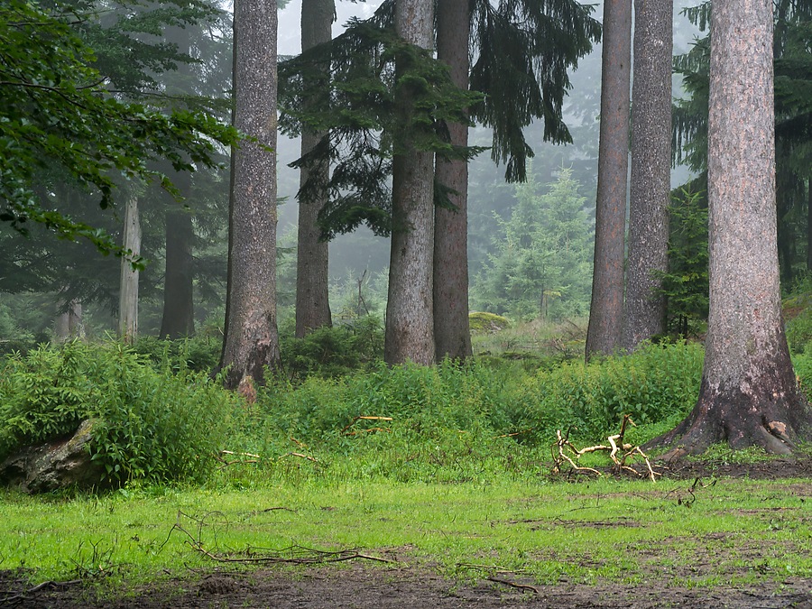 20120716 2048 [E M5] 100 mm,1 60 Sek. bei ƒ   8,0