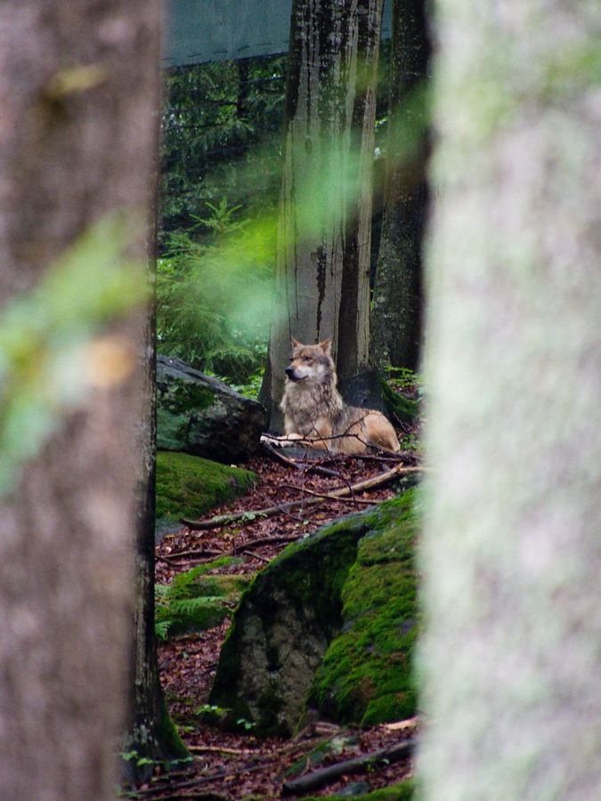 20120716 2161 [E M5] 300 mm,1 30 Sek. bei ƒ   5,6