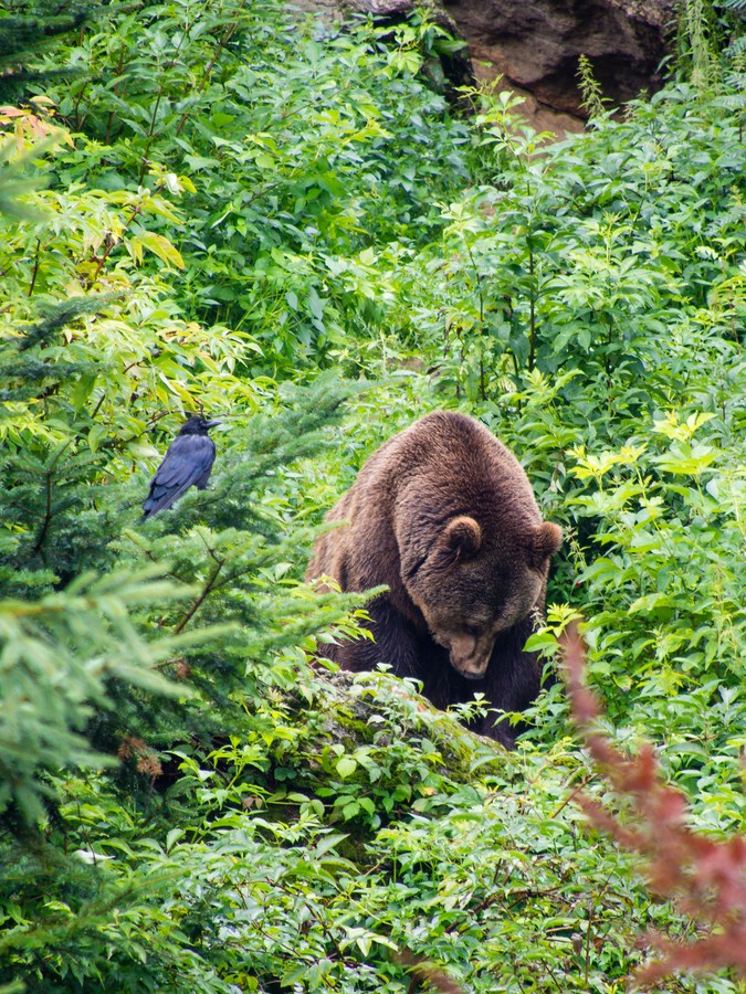 20120716 2262 [E M5] 286 mm,1 60 Sek. bei ƒ   5,6