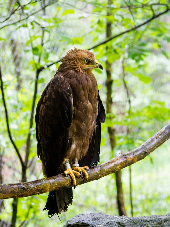 20120716 2289 [E M5] 100 mm,1 6 Sek. bei ƒ   5,6