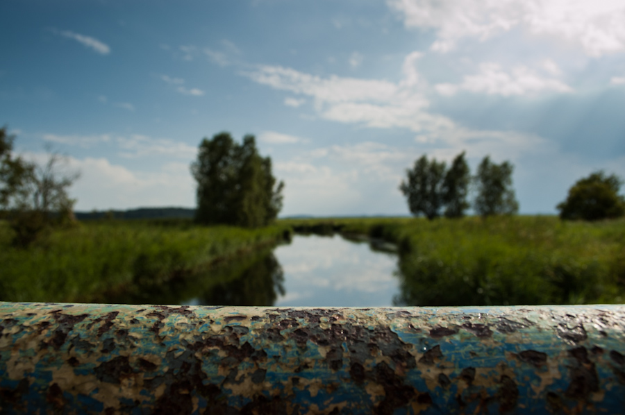 20120803 Usedom DSC 4378