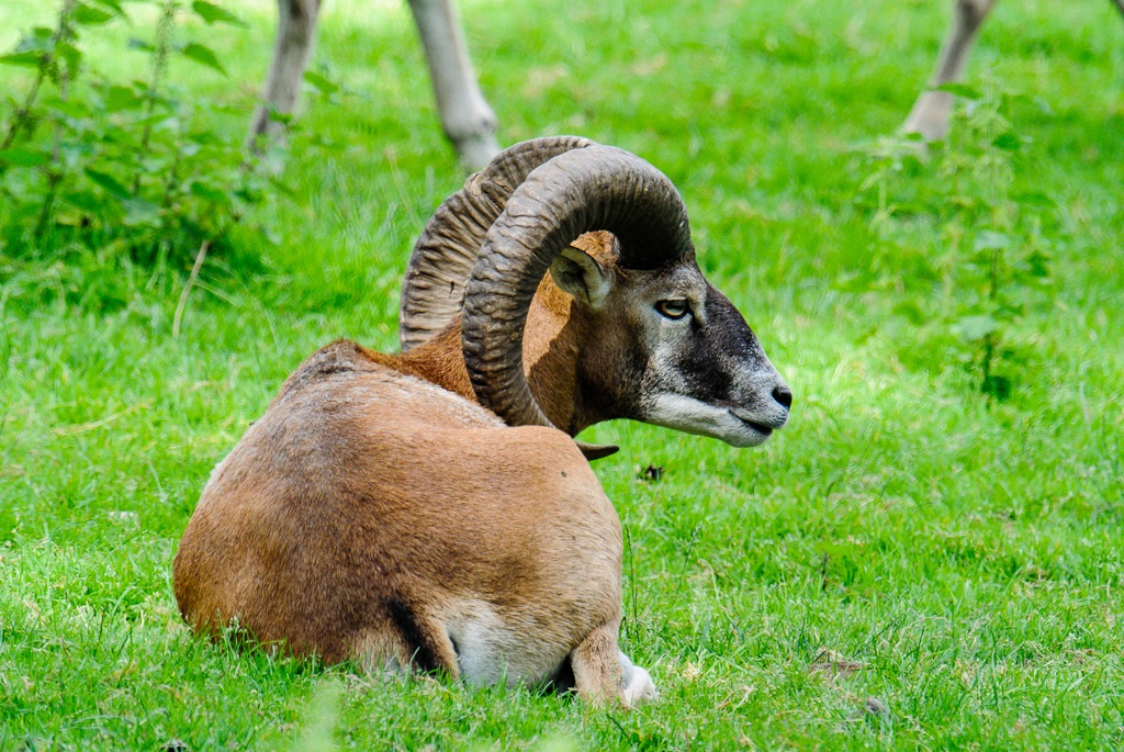 20120811 2203 [NIKON 1 V1] 600 mm,1 200 Sek. bei ƒ   6,3