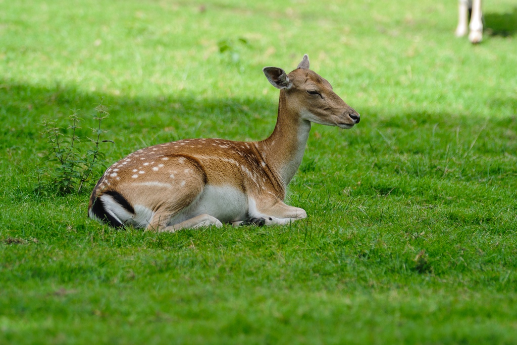 20120811 2268 [NIKON 1 V1] 200 mm,1 640 Sek. bei ƒ   2,0