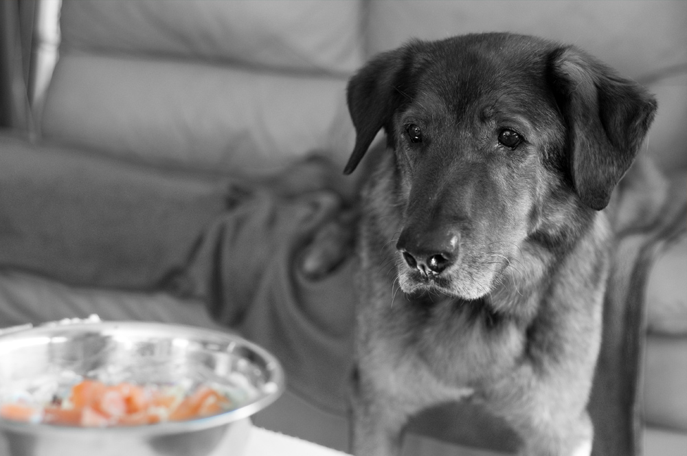 20120814 0192592
