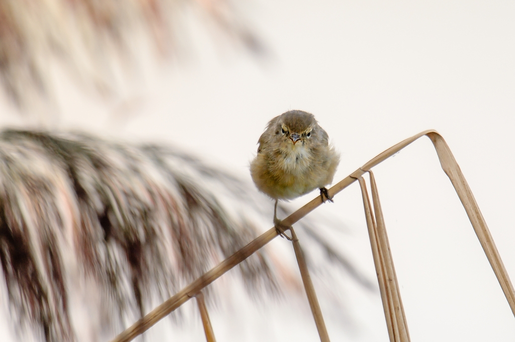 20120901 28732 [NIKON D2Xs] 850 mm,1 250 Sek. bei ƒ   6,3 3