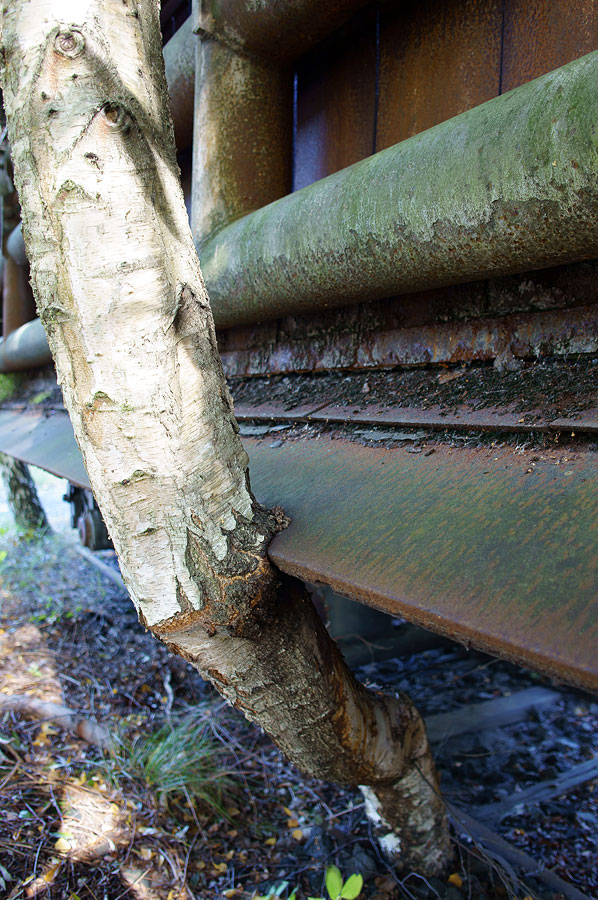 20120930 DSC00039