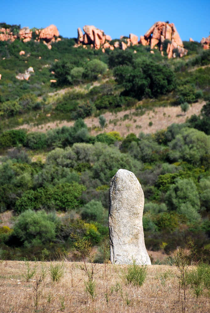 20121005-DSC_0199.jpg