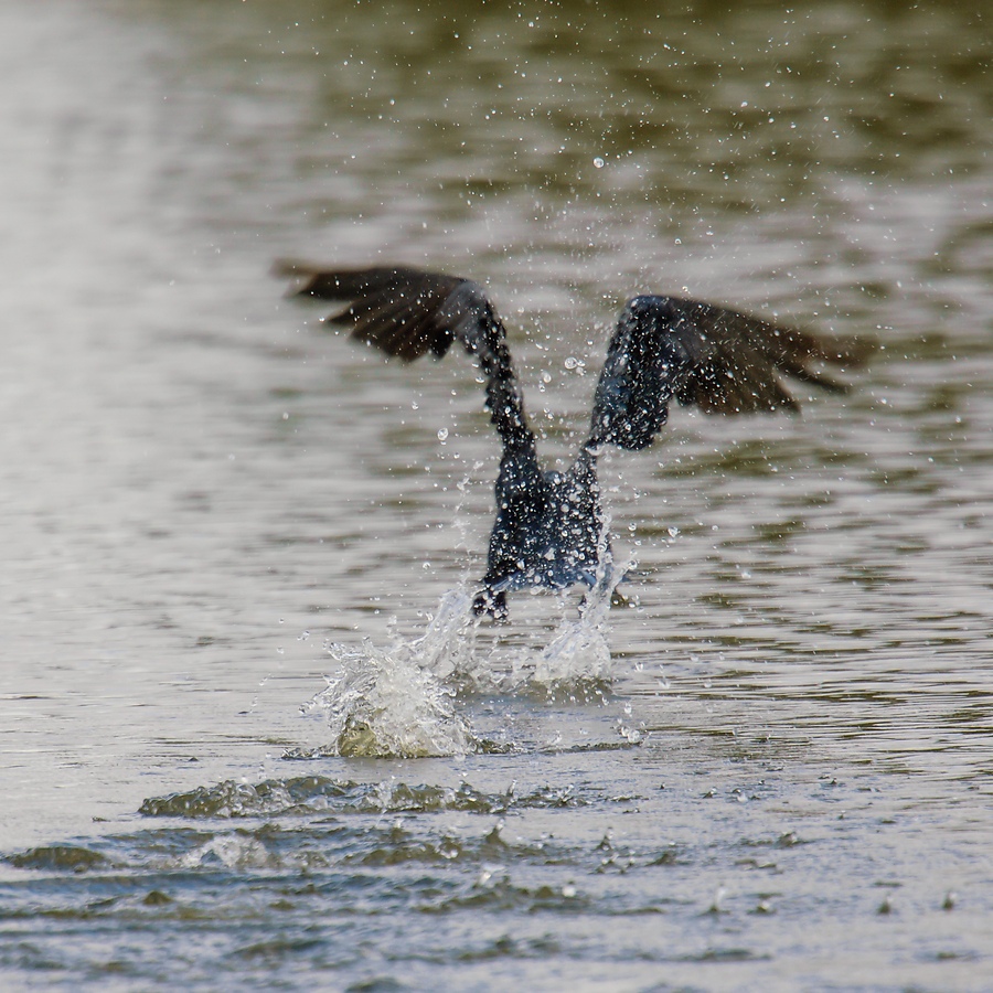 20121007 29089 [NIKON D2Xs] 850 mm,1 640 Sek. bei ƒ   5,6