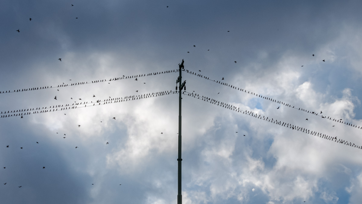 20121012-DSC_0311.jpg