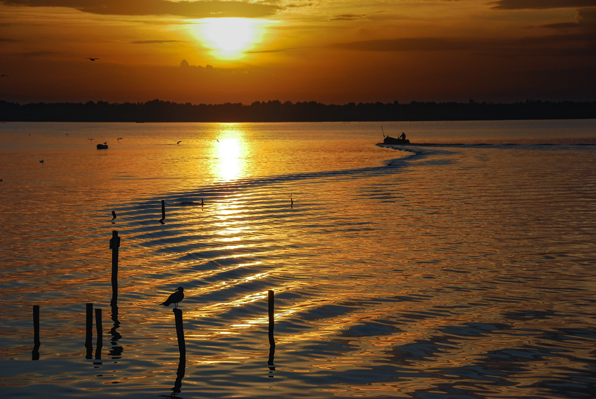 20121013-DSC_0428.jpg