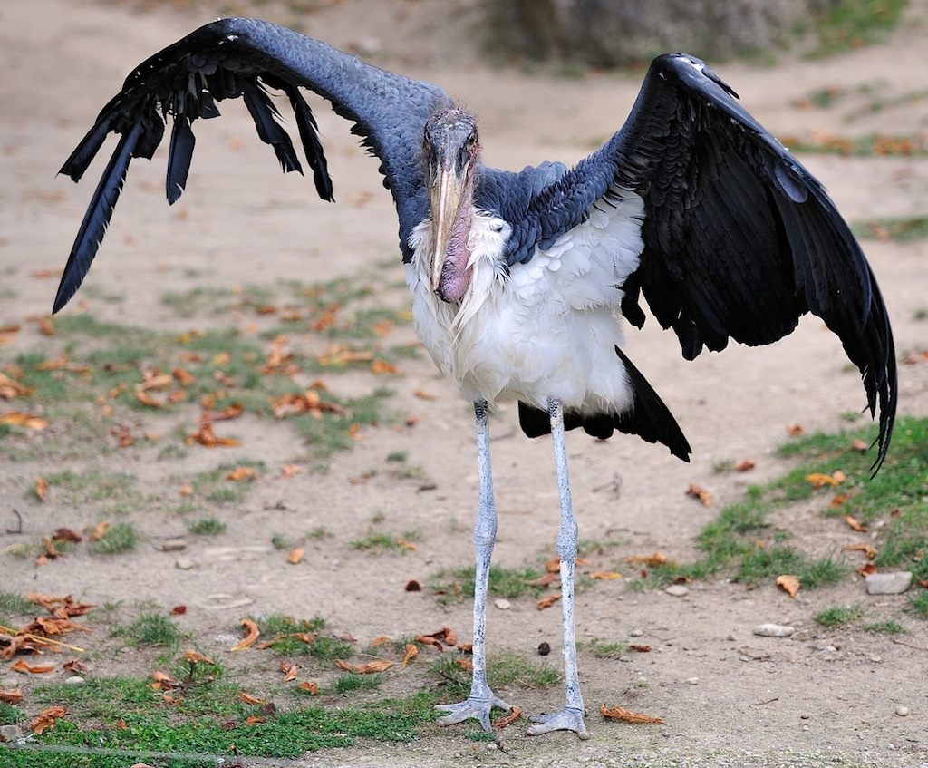 20121015 130236 1