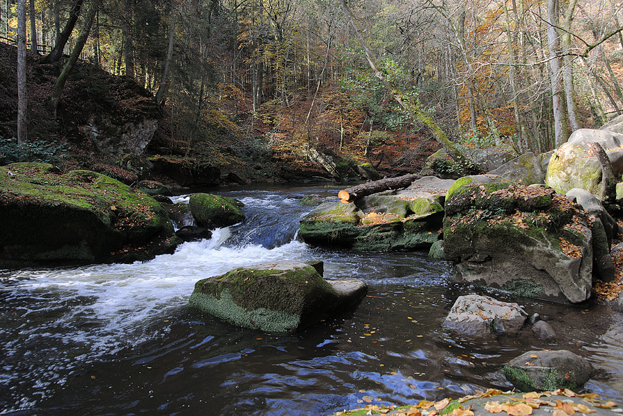 20121028 DSC 0844 Bearbeitet