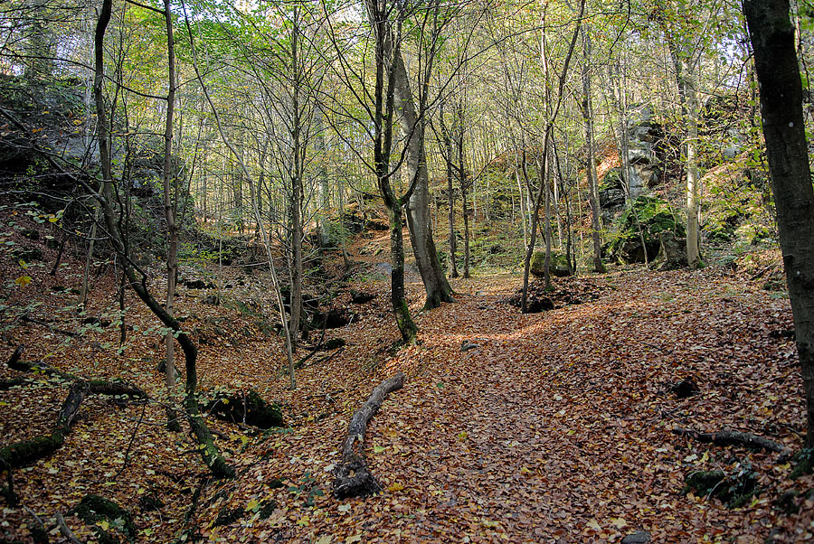 20121028 DSC 0860 Bearbeitet
