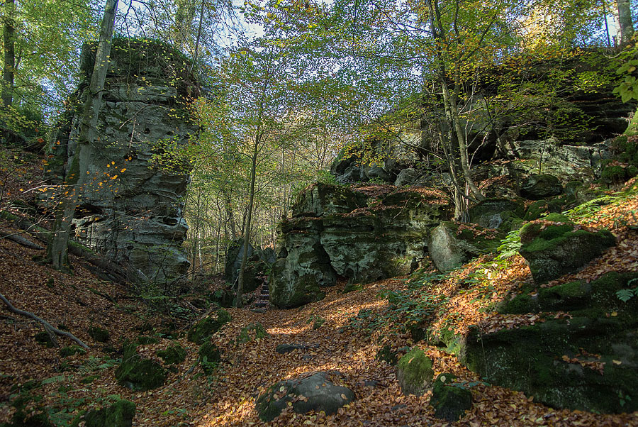20121028 DSC 0862 Bearbeitet