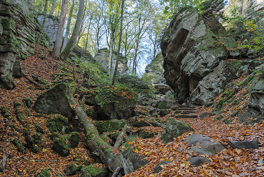 20121028 DSC 0874 Bearbeitet