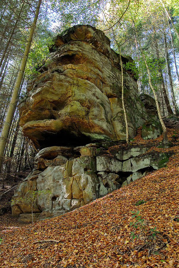 20121028 DSC 0878 Bearbeitet