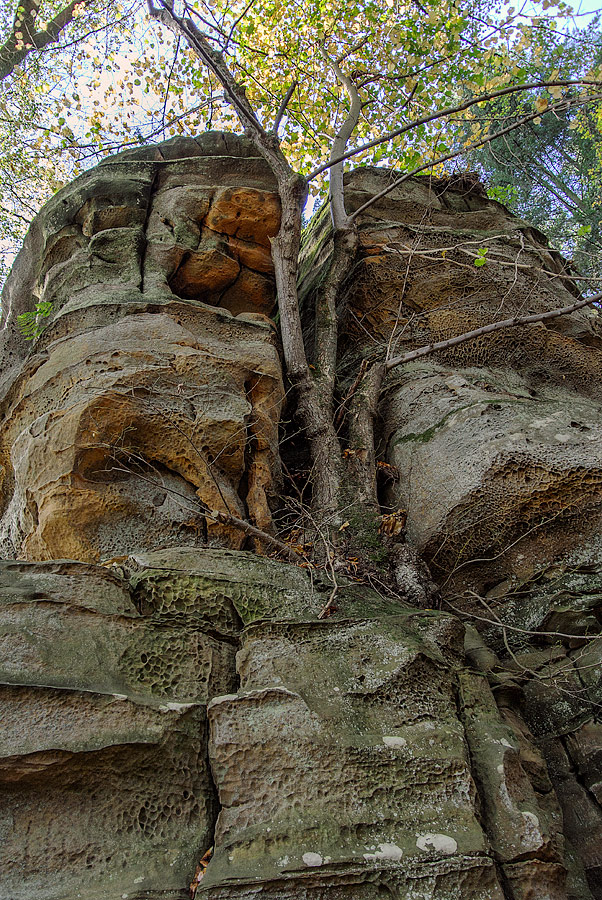 20121028 DSC 0881 Bearbeitet