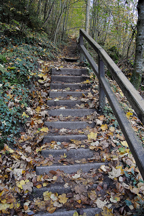 20121028 DSC 0884 Bearbeitet