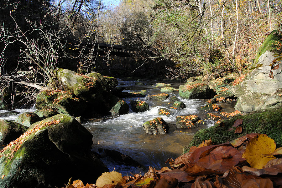 20121028 DSC 0887 Bearbeitet