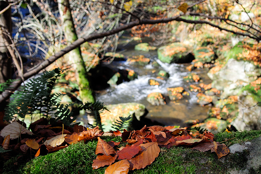 20121028 DSC 0893 Bearbeitet