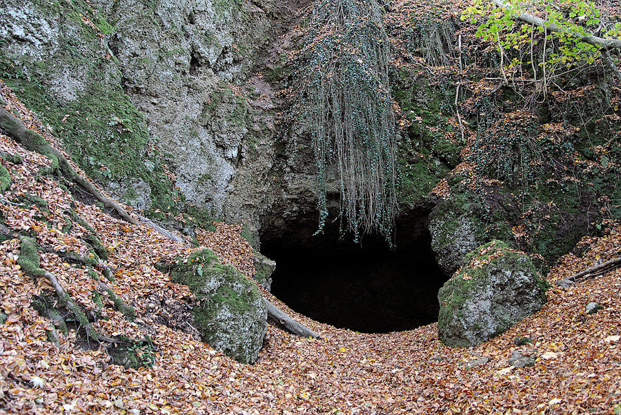 20121028 DSC 0897 Bearbeitet