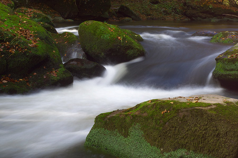20121028 DSC00209 Bearbeitet