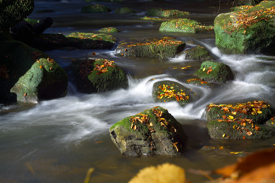 20121028 DSC00215 Bearbeitet