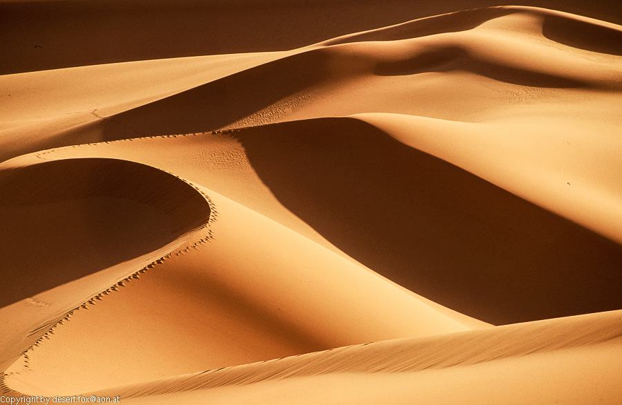 20121105  Algerien 004
