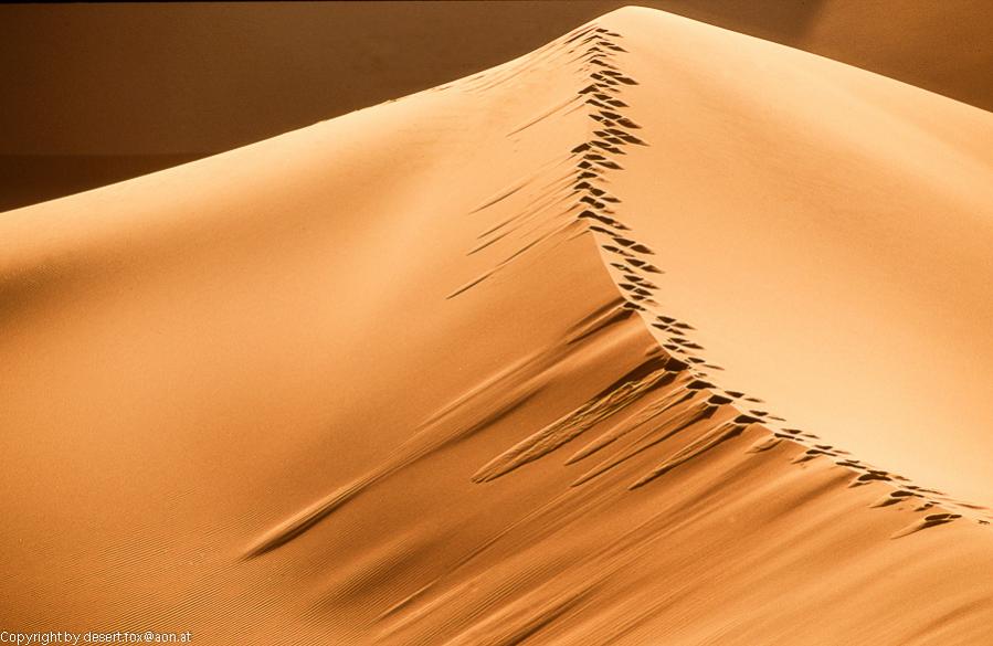 20121105  Algerien 005
