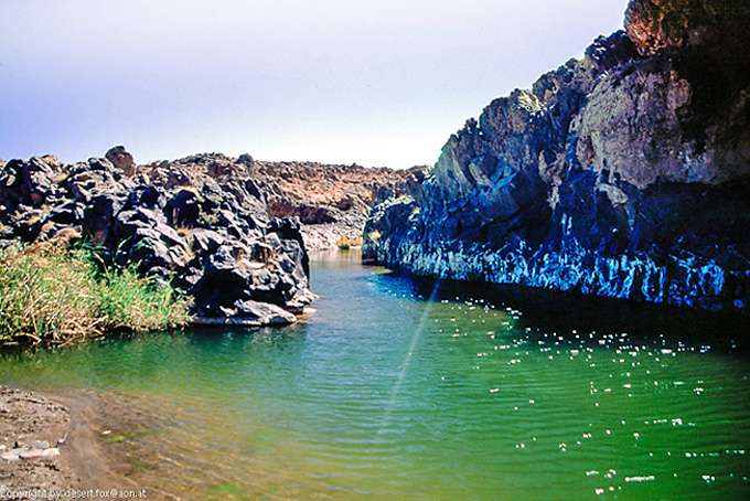 20121105  Algerien 006