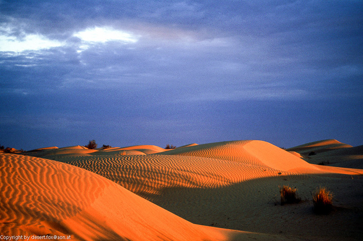 20121105  Algerien 015