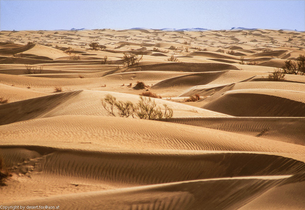20121105  Algerien 018