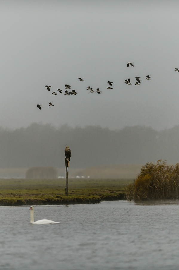 20121116 0525 [NIKON D4] 300 mm,1 320 Sek. bei ƒ   2,8