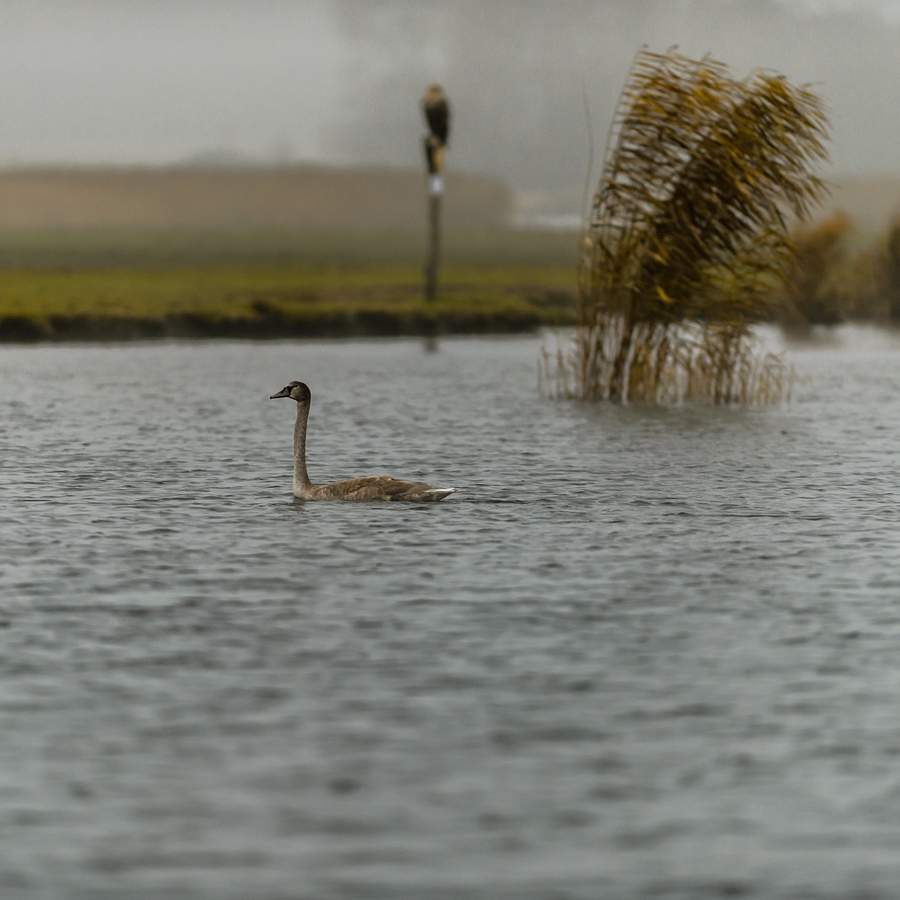 20121116 0533 [NIKON D4] 300 mm,1 320 Sek. bei ƒ   2,8