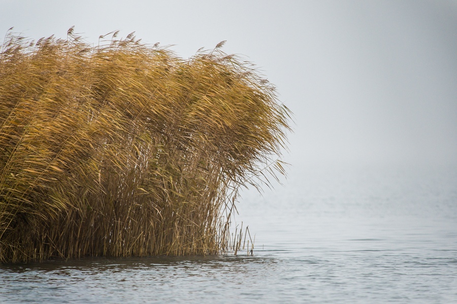 20121116 0698 [NIKON D4] 500 mm,1 200 Sek. bei ƒ   5,6