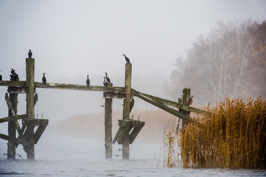 20121116 0732 [NIKON D4] 420 mm,1 500 Sek. bei ƒ   5,6