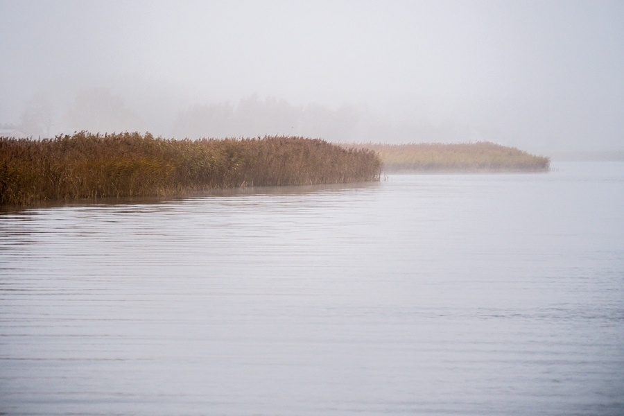 20121116 5307 [E M5] 100 mm,1 60 Sek. bei ƒ   4,0