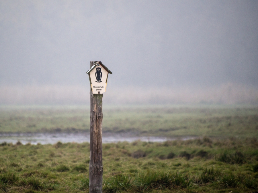 20121116 5316 [E M5] 300 mm,1 80 Sek. bei ƒ   5,6