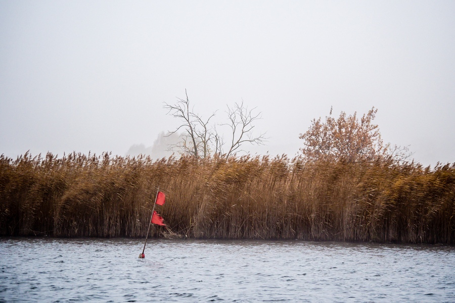 20121116 5330 [E M5] 100 mm,1 200 Sek. bei ƒ   4,0